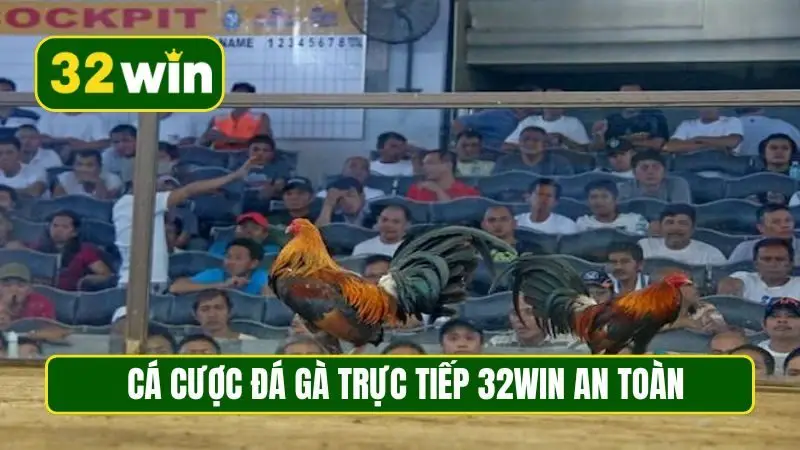 Cá cược đá gà trực tiếp 32WIN an toàn, minh bạch