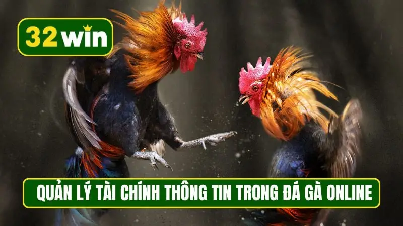 Quản lý tài chính thông tin trong đá gà online